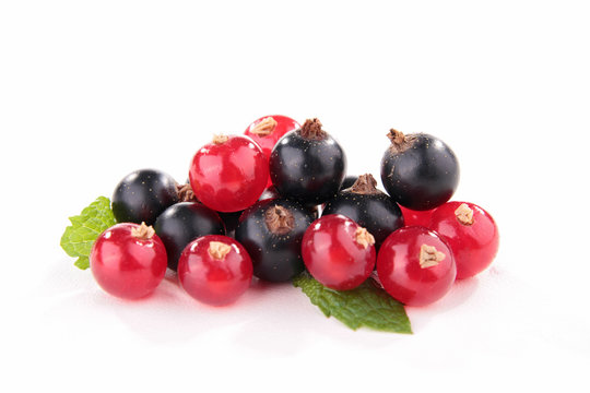 black and red currant