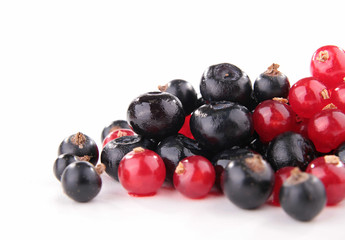 berry fruit