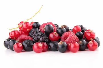 assortment of berries
