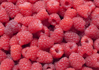 raspberries