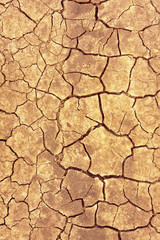 Cracks on dry ground