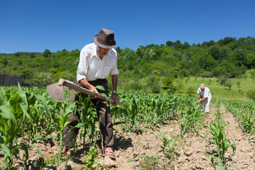 Family working the land