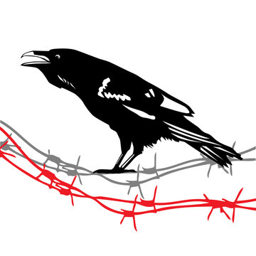 Raven Crow