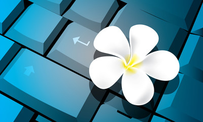 Flower on keyboard