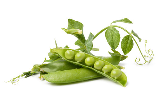 pod of peas on white background
