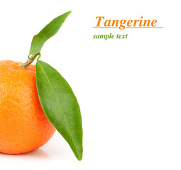 tangerine