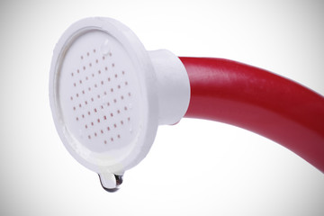 red watering can's strainer with a drop