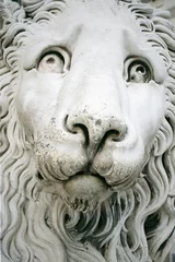 Fototapeten Lion sculpture © vali_111