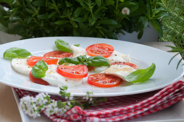 Büffelkäse mit Tomaten