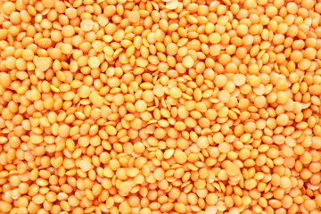 red lentil texture