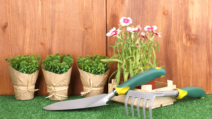 Gardening tools on wooden background