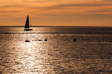 Fototapeta premium Sailing boat silhouette at sunset