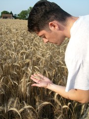 Farmer in wheat field