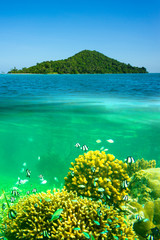 Naklejka premium Surface and underwater view