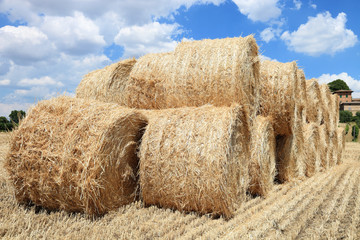 pile of hay bales © Federico Rostagno