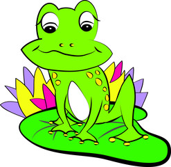 color page frog on the water-lily