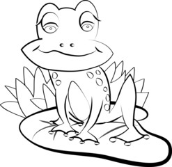 color page frog on the water-lily