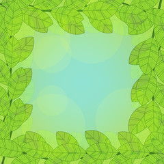 Foliage frame on abstract background