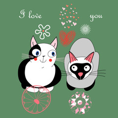 love cats