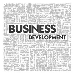 Word cloud business concept