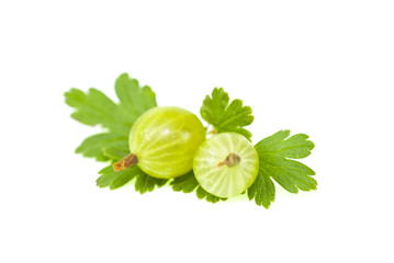 Gooseberries isolated on white.