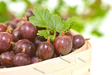 Red gooseberries in a wicker basket.