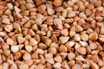 buckwheat texture