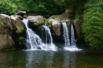 Deep forest waterfall