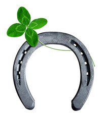 horseshoe with clover on white background