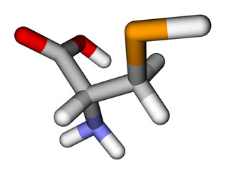Amino acid selenocysteine sticks molecular model © Leonid Andronov