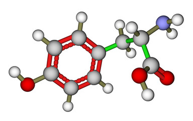 Amino acid tyrosine molecular structure