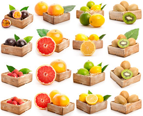 grapefruits, lychees, kiwi, passion fruit, lemon