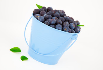 fresh blueberry in a blue mug with leaves