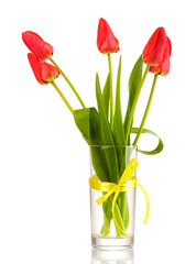 Beautiful tulips in vase isolated on white