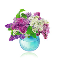 Beautiful Bunch of Lilac in the Vase