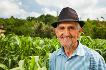Naklejka na ściany i meble Senior farmer with a corn field in the background