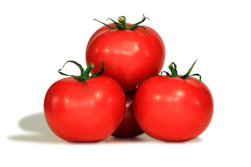 Frische rote Tomaten