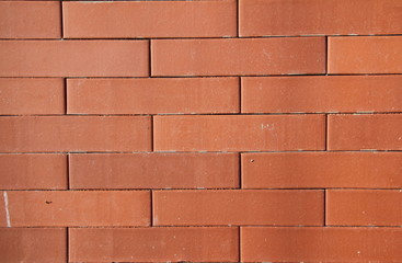 Pared de ladrillos
