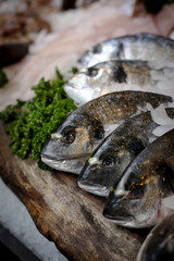 Close-up of fishes on a counter