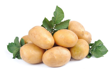 Potato close up