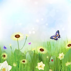 Photo sur Plexiglas Papillon Fond floral, fleurs dans le pré
