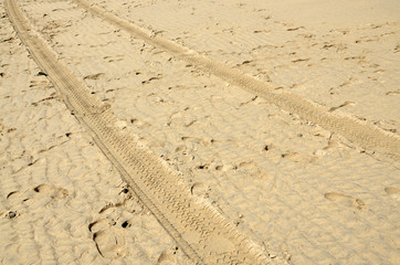 Tracks in the Sand 3