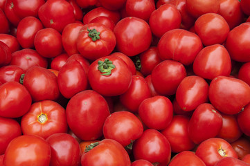 Tomato Pattern