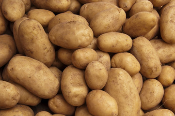 Potato Crop Texture