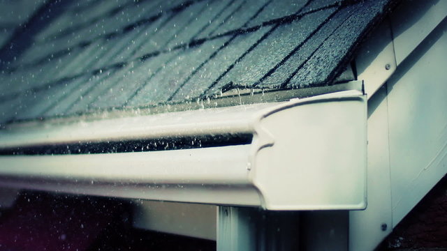 Rainy Day Roof