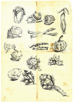 Hand drawn a large collection of seasonal fruits and vegetables