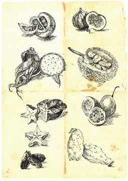 Hand drawn a large collection of seasonal fruits and vegetables