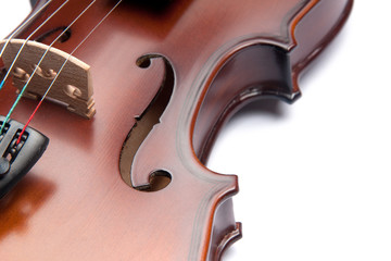 violin