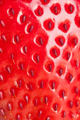 macro strawberry