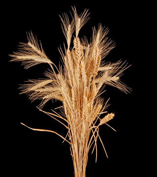 wisp of wheat and rye